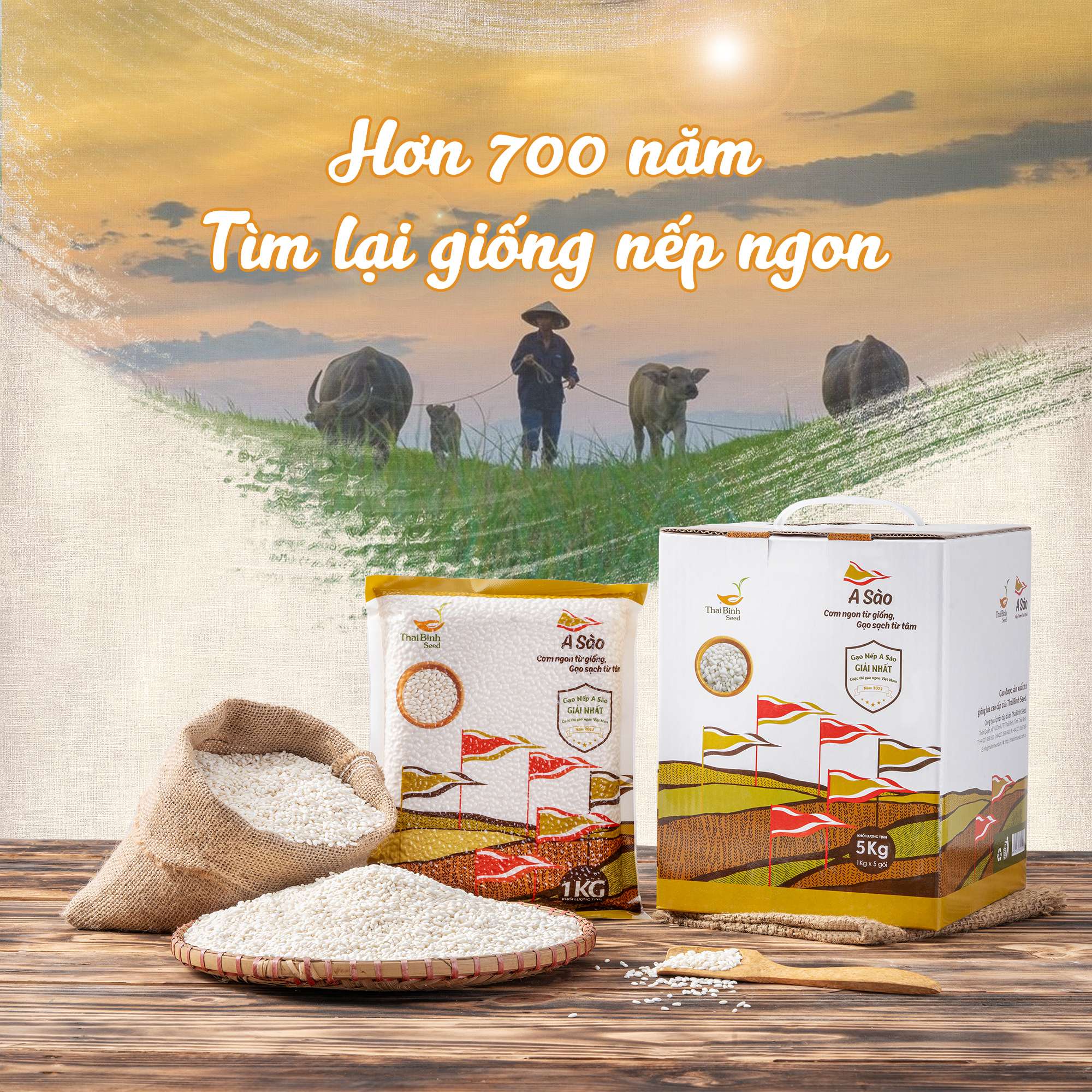 gạo nếp a SÀO