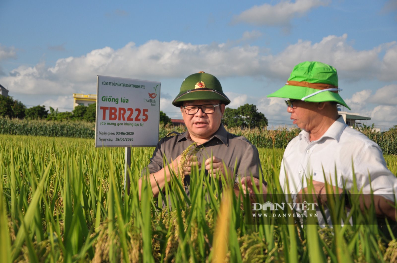Đồng chí Thào Xuân Sùng - Ủy viên Trung ương Đảng, Bí thư Đảng đoàn, Chủ tịch Ban chấp hành Trung ương Hội Nông dân Việt Nam trao đổi với ông Trần Mạnh Báo - Tổng Giám đốc Tập đoàn ThaiBinh Seed về kỹ thuật sản xuất giống lúa nhân dịp đến thăm và làm việc với đơn vị này ngày 16/9 vừa qua.