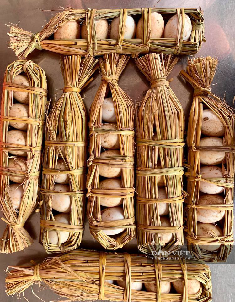 Đồng chí Thào Xuân Sùng gửi tặng Tổng Giám đốc Tập đoàn ThaiBinh Seed Trần Mạnh Báo món quà 35 quả trứng vịt cổ xanh nhân ngày Doanh nhân Việt Nam 13/10.