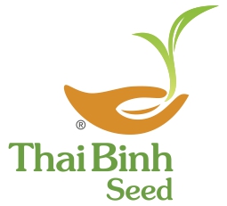 Gạo ThaiBinh Seed