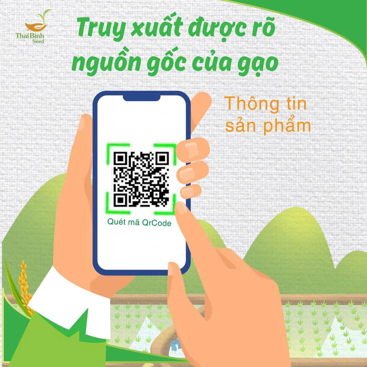 Cách Chọn Gạo Sạch