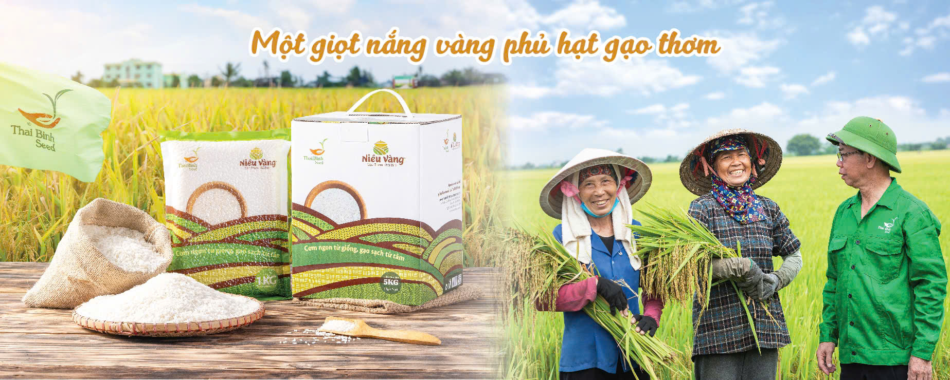 Gạo Niêu Vàng