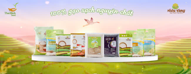 gạo niêu vàng