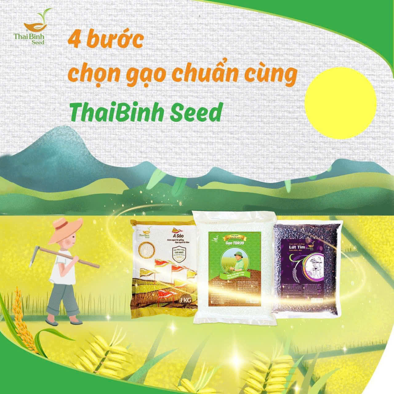 Cách Chọn Gạo Sạch