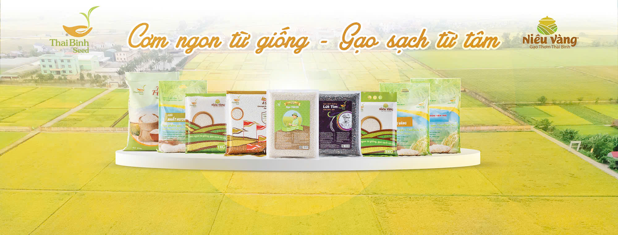 Gạo