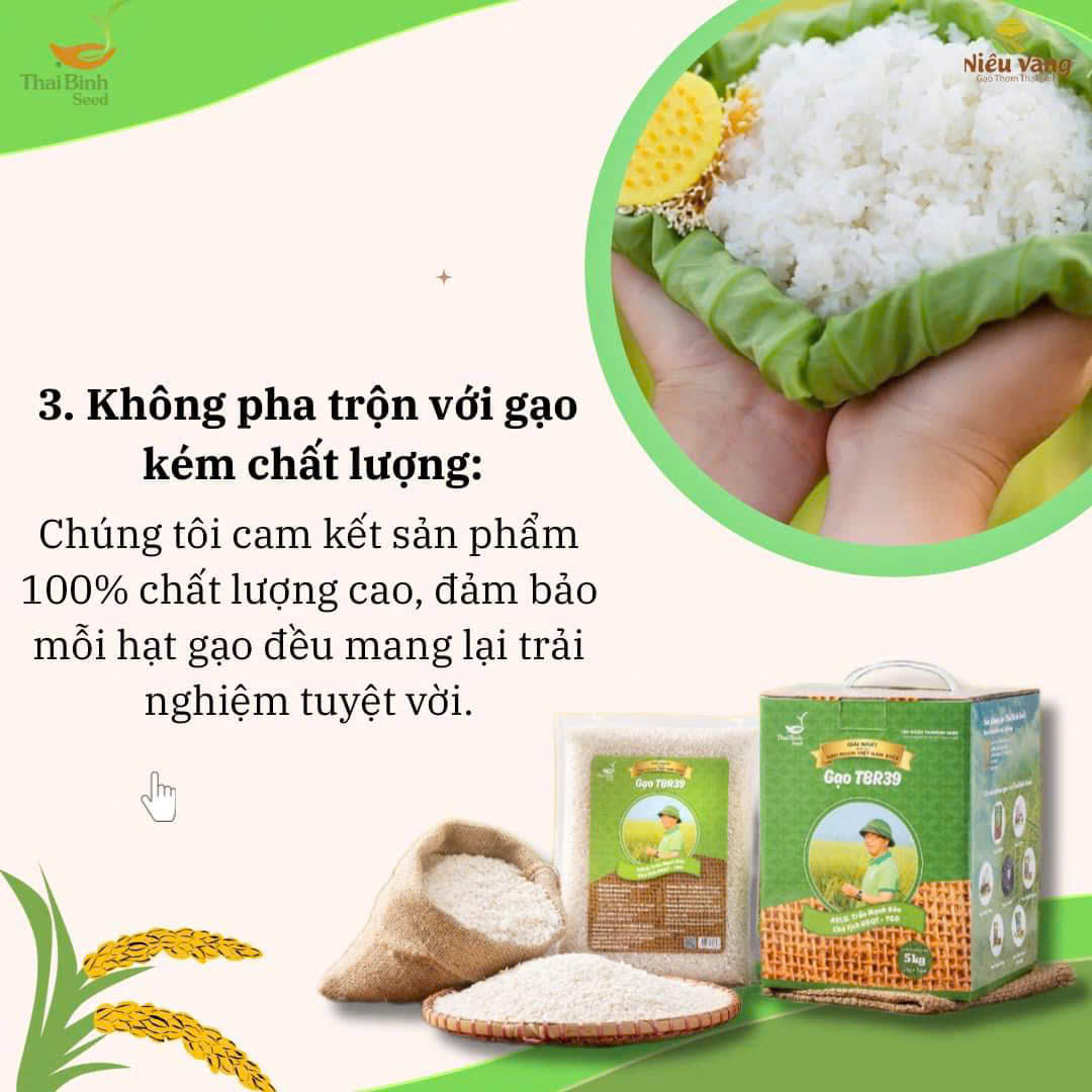 Gạo