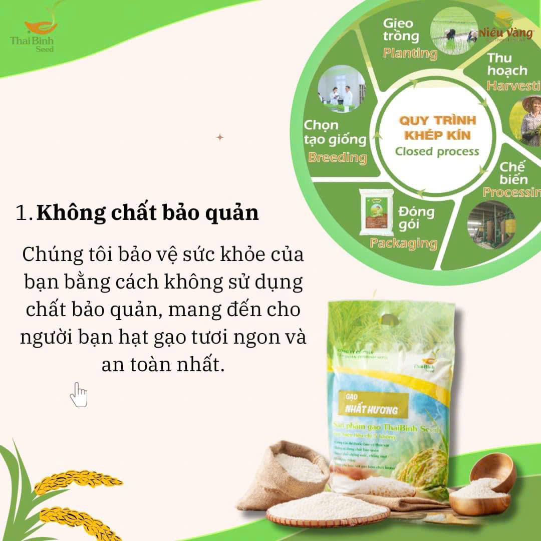 Gạo