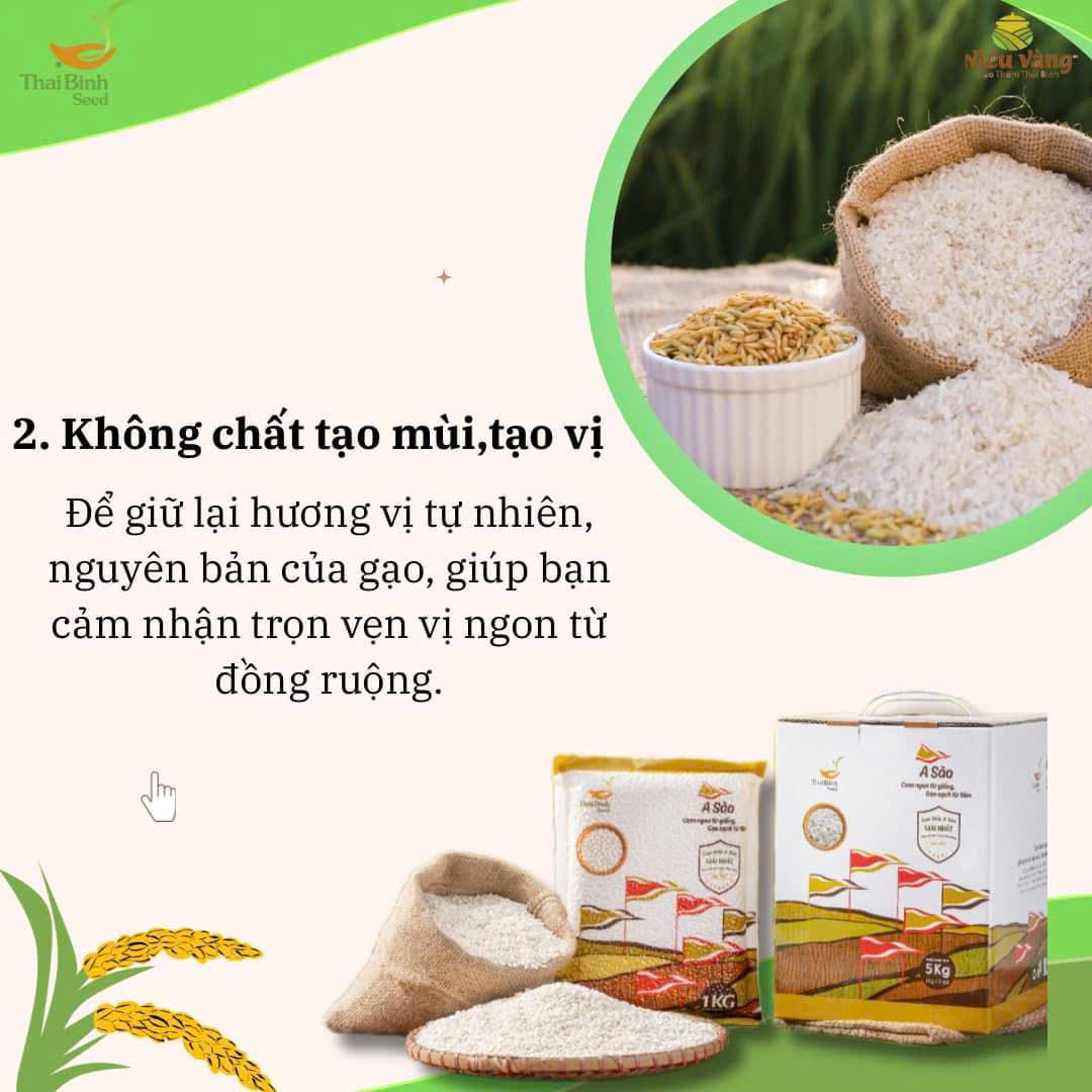 Gạo