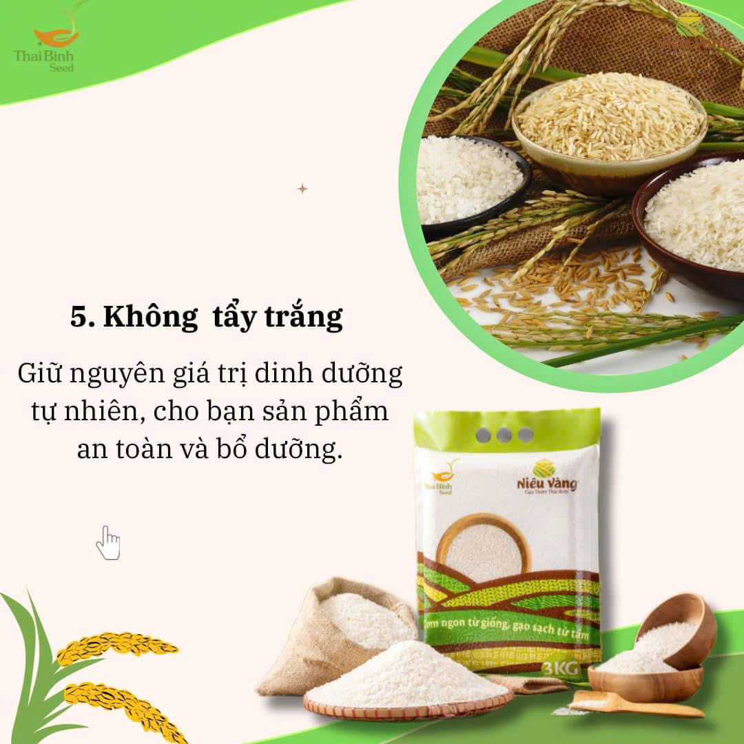 gạo