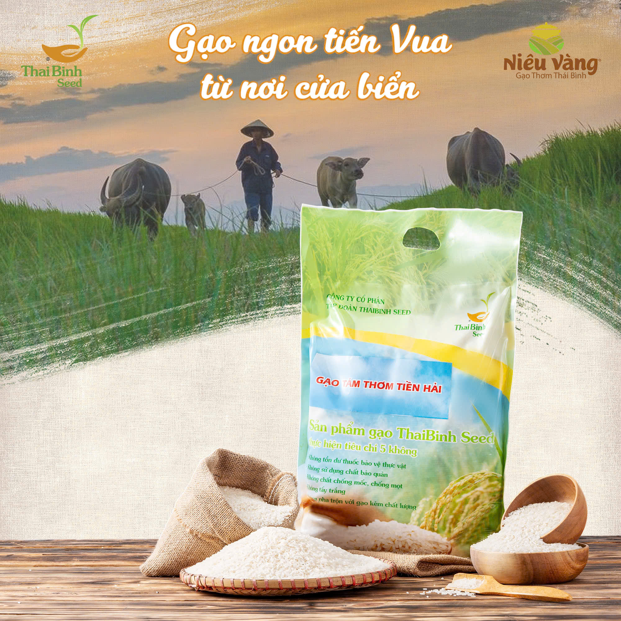 gạo tám thơm,