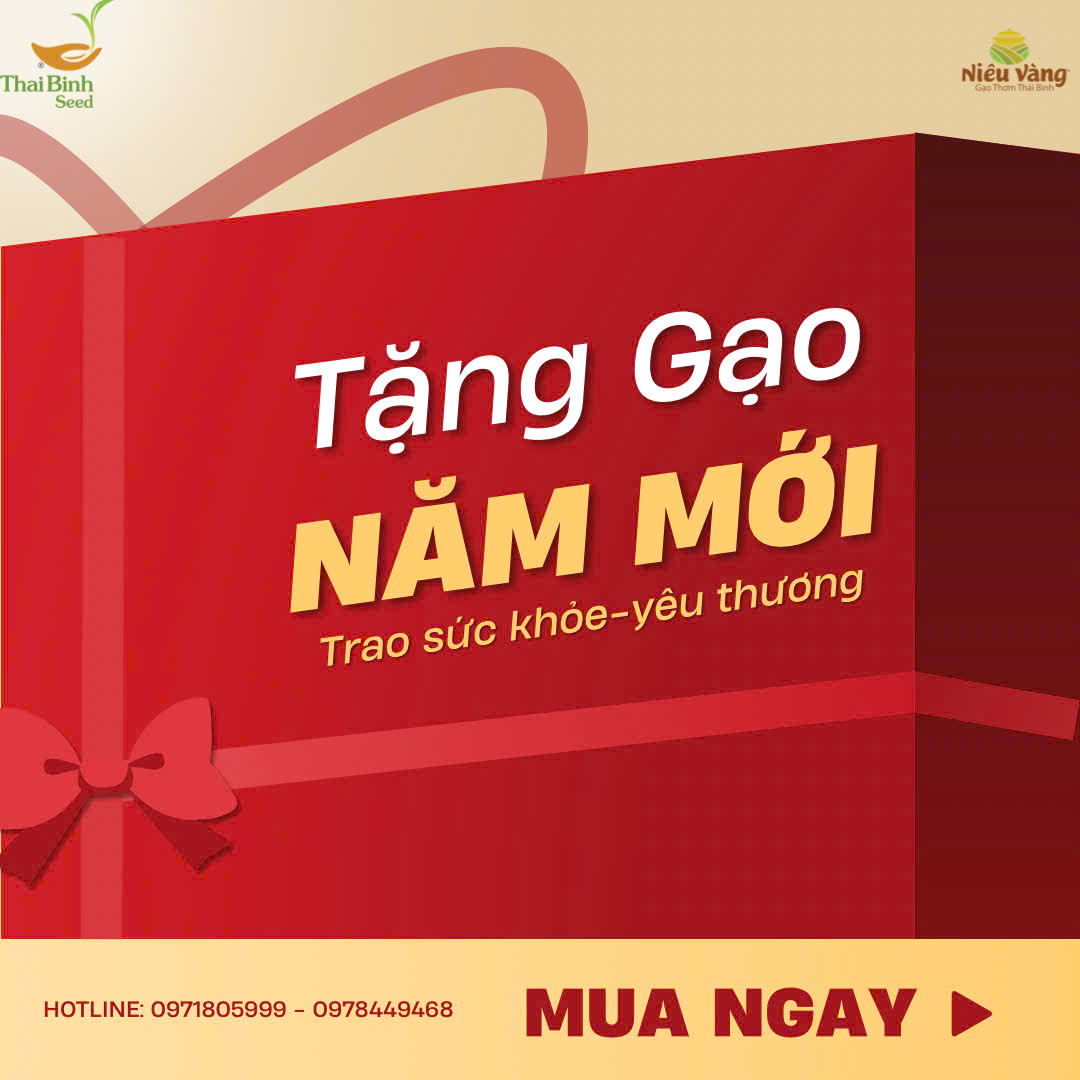 Tặng Gạo – Trao Sức Khỏe, Gửi Yêu Thương