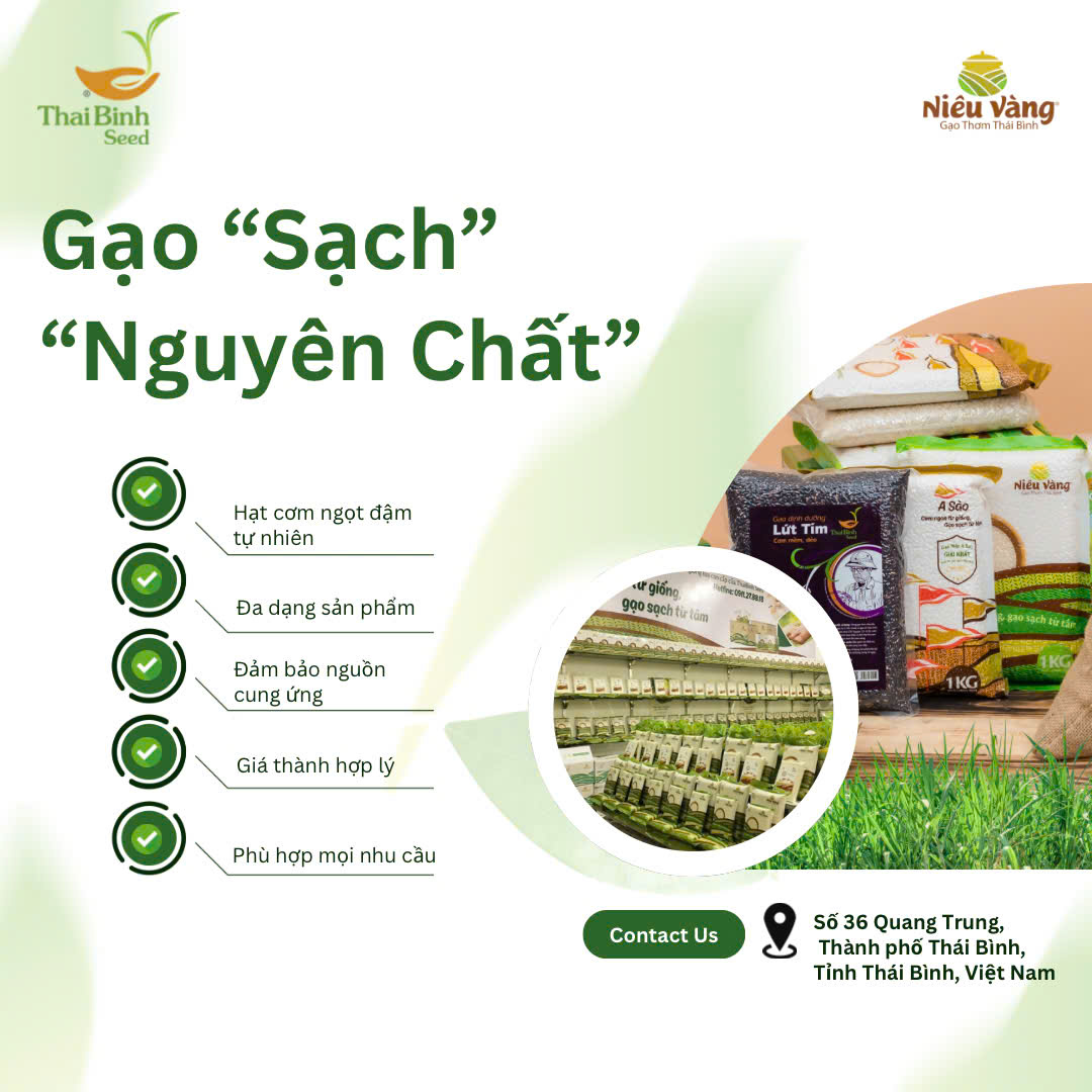 Gạo Sạch ThaiBinh Seed
