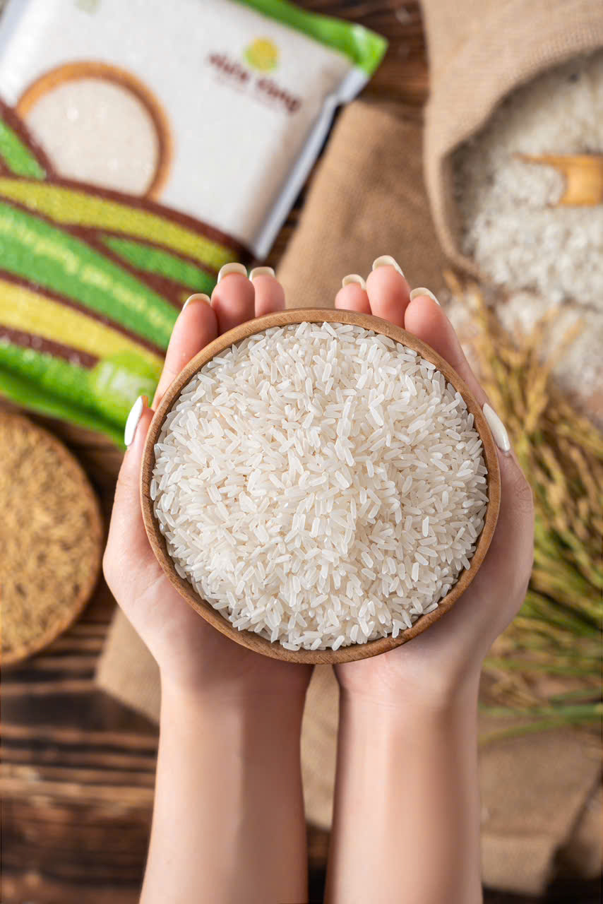 Tốt Giống, Tốt Mạ, Tốt Lúa