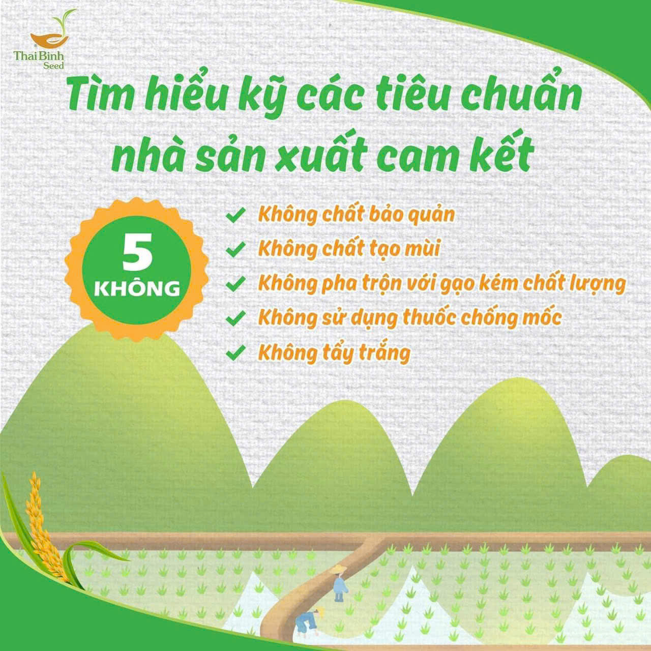 Tốt Giống, Tốt Mạ, Tốt Lúa