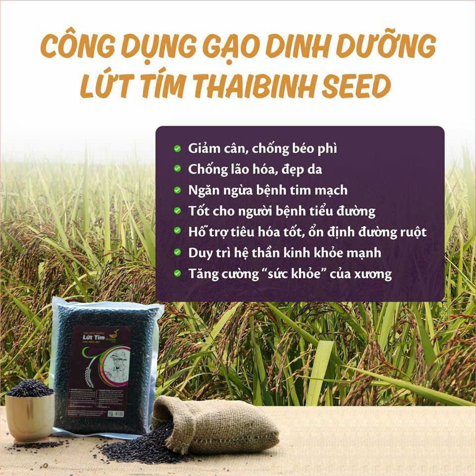 ợi Ích Không Ngờ Từ Gạo Lứt Tím