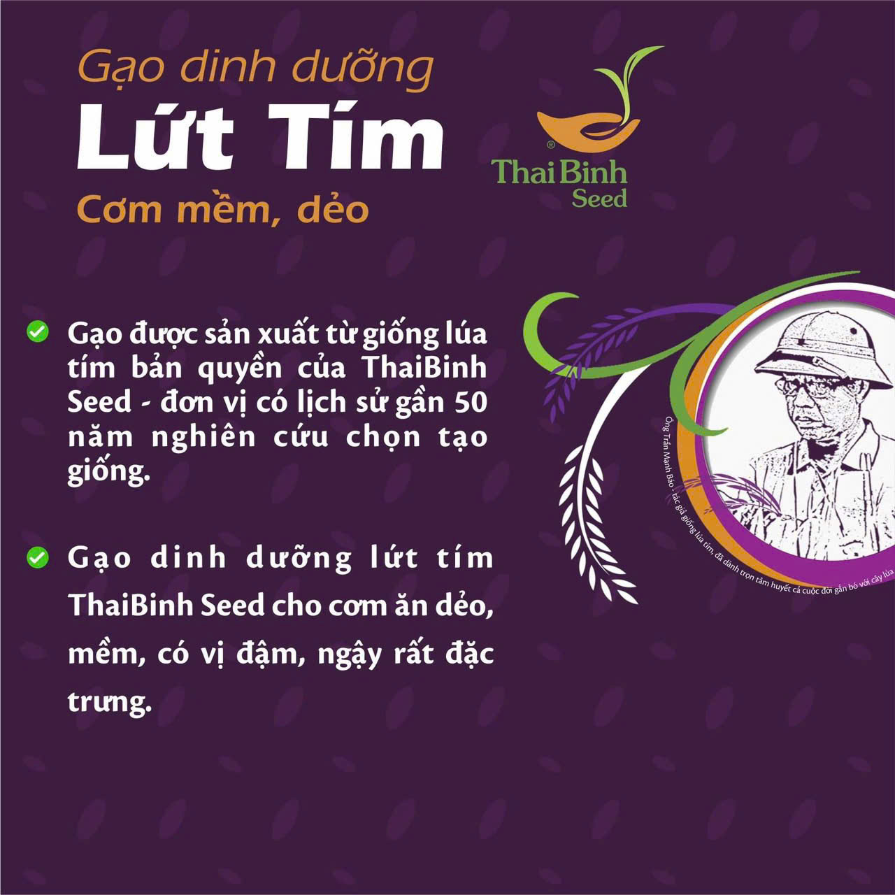 lợi Ích Không Ngờ Từ Gạo Lứt Tím