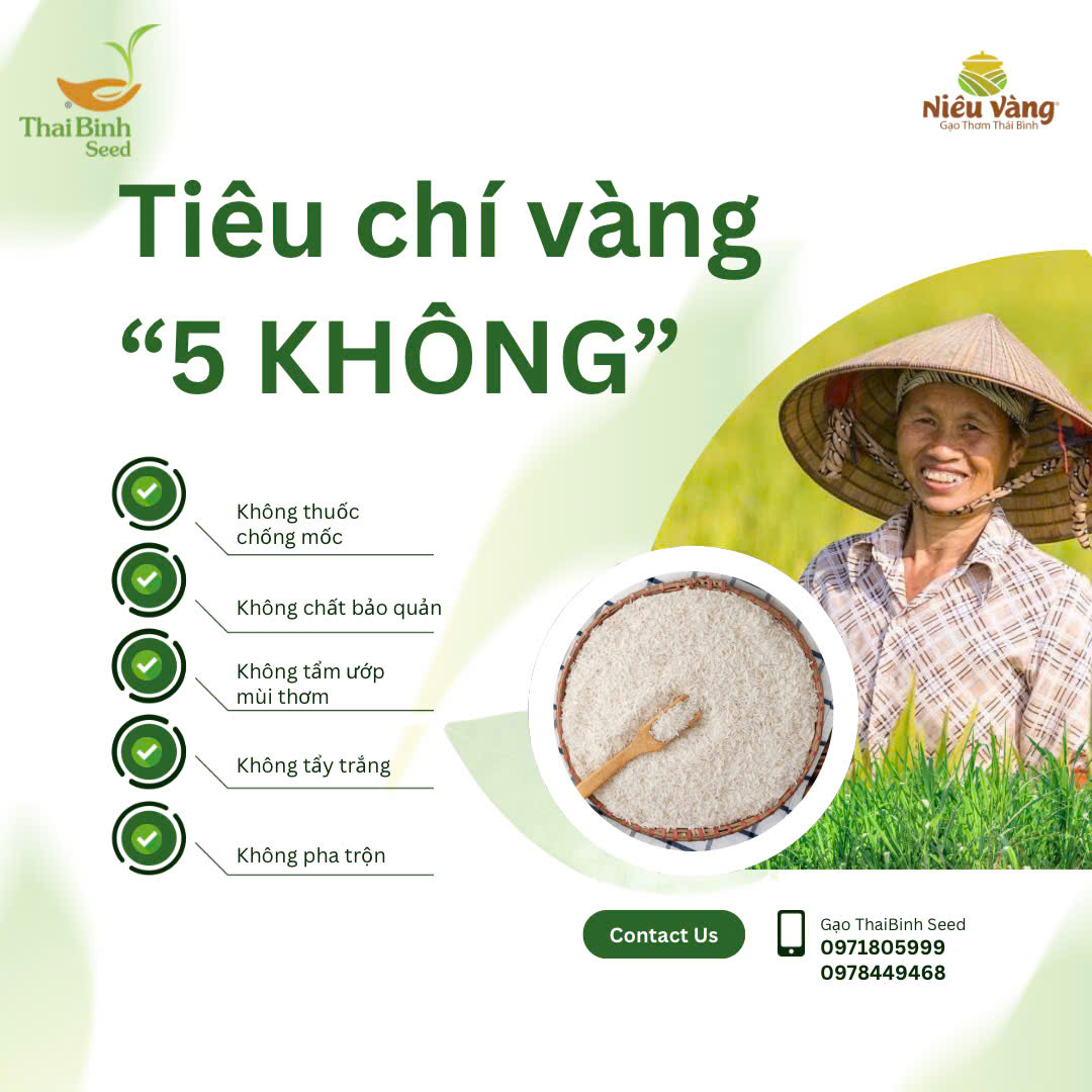 Ý Nghĩa Trong Từng Hạt Gạo